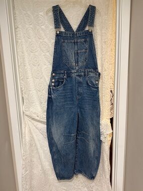 We The Free Light Blue Denim Overalls